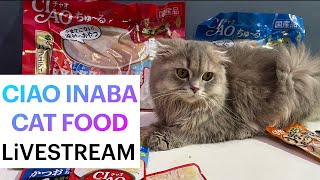 THE BEST CAT FOOD SNACKS: Ciao Inaba! (January 2021 LiVESTREAM)