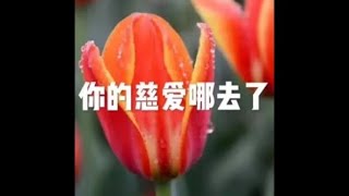 201504 你的慈爱哪去了21499