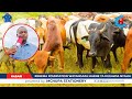REHEMA FOUNDATION KUGAWA NYAMA KWA WAUMINI WA KIISILAMU MTWARA SIKU YA EID AL HAJ 