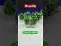 Artificial plants #artificial flowers #plant #mini plants #shorts #ak rc inventor