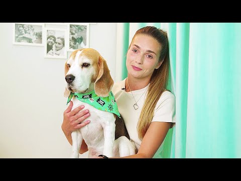 Лучший пёс, 6 выпуск