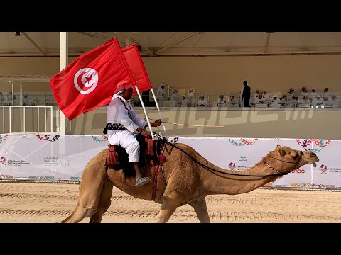 حصد صاحبها مبلغ 200 الف ريال تتويج ملكة جمال الإبل في قطر