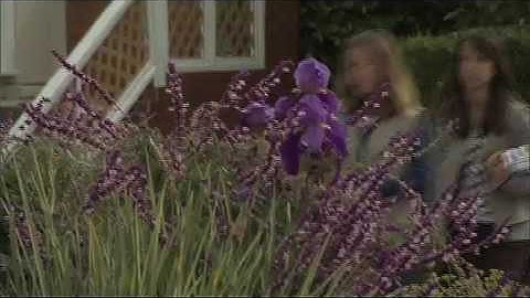 Young Voices on Climate Change - Girl Scouts