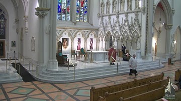 Welcome to the Third Sunday of Advent! (Gaudete Sunday - Rejoice!)