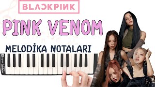 Blackpink - PINK VENOM Melodika Notaları - Ses Veriyorum Resimi