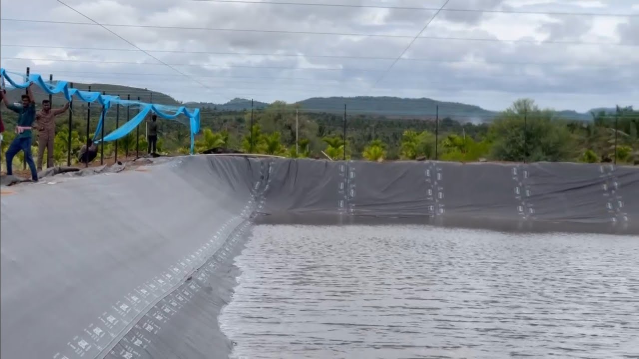 Murrel Farming Expansion Begins in Hiriyur | CR Aqua Tec