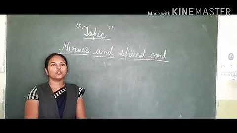 Dalauda Public School Class 5th Science Chapter 4 ( Part 2) By Bindu Tiwari