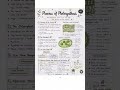 PHOTOSYNTHESIS related video#science#shortvideoviral
