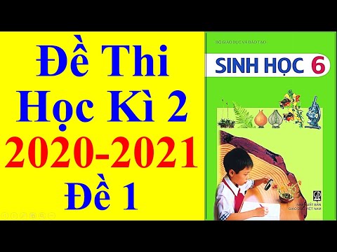 Video Sinh học Lớp 6 – Đề Thi Học Kì 2 Năm Học 2020 - 2021 - youtube