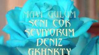 Ѕєηi Ѕєνiуσrυм Ηzgкнη ºσєηιzσº