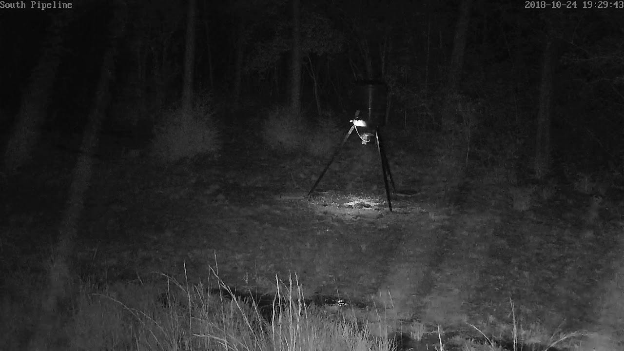 night 2 testing wildgame innovations moonshine light on wildgame innovations red light