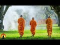 🔴 Tibetan Meditation Music 24/7, Healing Music, Relaxing Music, Chakra, Sleep, Yoga, Relax, Study