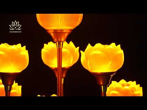 Video Đèn Thờ Điện - Đôi Đèn Thờ LED Hoa Sen Thuỷ Lưu Ly 7... - youtube