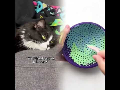 Cuddle Bugs Talkingcat Pennythecat