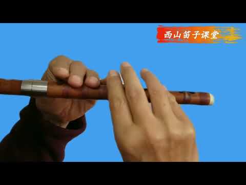 《剁、历、滑、吐、飞指练习》讲解示范    1