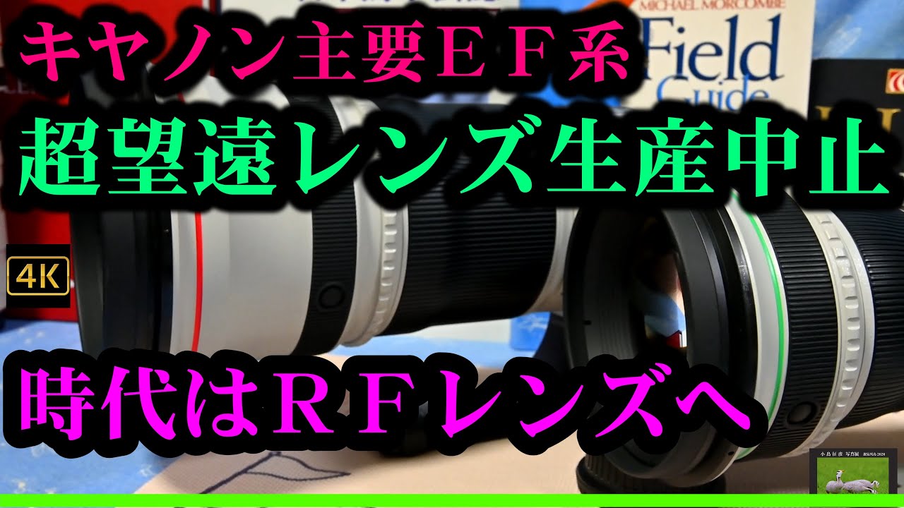 神レンズ降臨！！EF500mm F4L IS II USM - YouTube