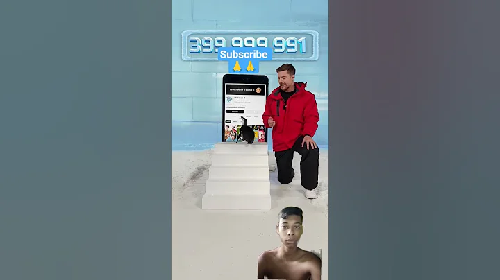 Can I Teach a Penguin To Subscribe? 🤯🙏#shorts #mrbeast #13million #subscribe