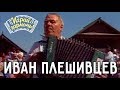 Играй, гармонь! | Иван Плешивцев | Ромашка белая