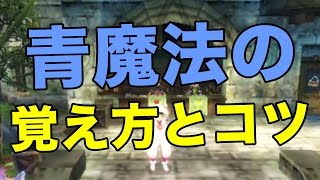 【FFEX実況#244】青魔法を覚える方法と青魔法を覚えるコツを解説します！(ファイナルファンタジーエクスプローラーズ攻略)