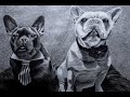 Drawing dogs portrait french bulldogs  part 01