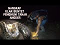 PENANGKAPAN ULAR BUNTET PENGHUNI LUBANG MISTERIUS..!!