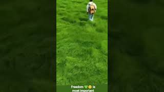 freedom 💚☺️ is most important thing in life with his natur