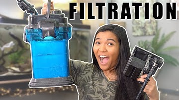Turtle Tank Filtration Explained | Can you over filter a turtle tank?