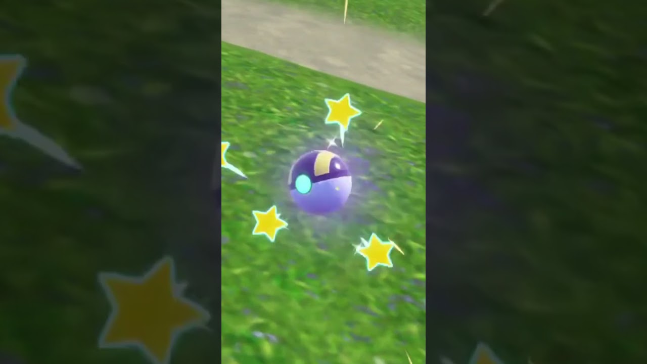 Castaño and his Flock🐦✨ 