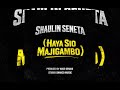 Shaulin Seneta Mwanazuoni Haya Sio Majigambo Official Audio Shaulin Seneta Mwanazuoni Haya Sio Majigambo Official Audio