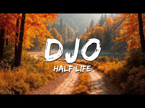 Djo Half Life Lyrics 
