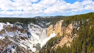 Opening Day At Yellowstone 2024 | Bear Sighting & Wolves Howling