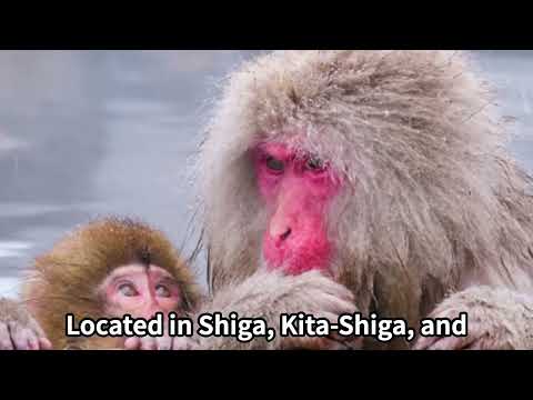 【Travel】Recommended Tourist Attractions in Nagano【Japan】