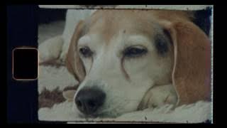 Home Is Such A Lonely Place - blink-182 [Mark Hoppus MUSIC VIDEO version]