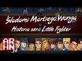 Śladami Martiego Wonga -- Historia serii Little Fighter