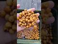 Орех=карп #fishing #carpfishing #рыбалка #carp