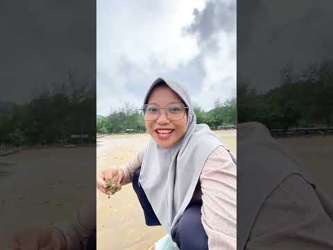 Video: Pantai Daerah Oren Terbaik - untuk Gaya Pantai Anda