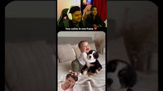 Try Not To Laugh Part 200