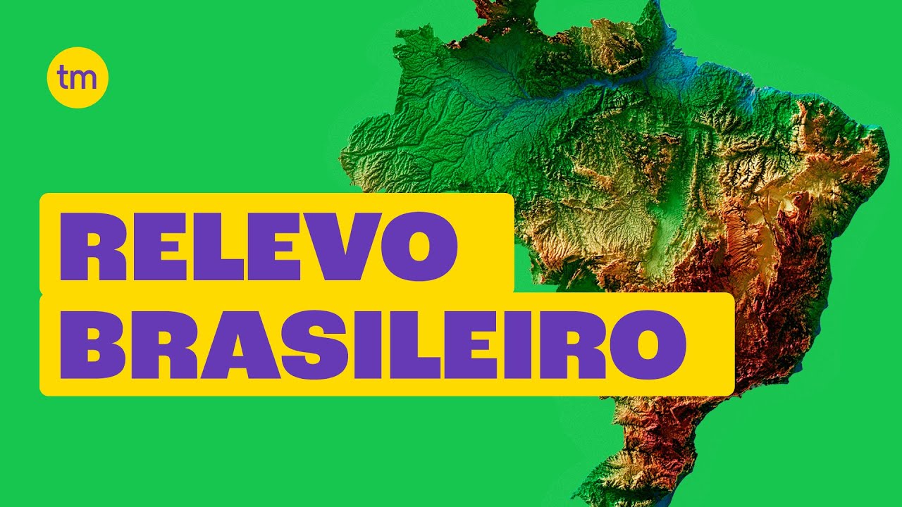 Vegetação do Brasil: tipos e características - Toda Matéria