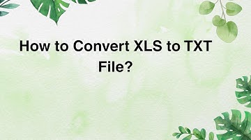 How to Convert XLS to TXT File?