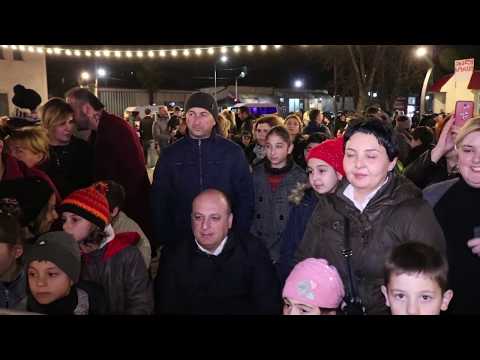 ქალაქის მთავარი ნაძვის ხე საზეიმოდ განათდა