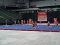 Gtco volts seniors level 4 cheer take flight cup 11908