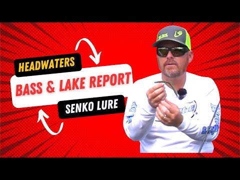 Using leader for bass fishing? Headwaters Lake Bass Fishing Report