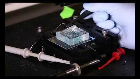 Wireless Electrophysiology with Ultrasonic Neural Dust