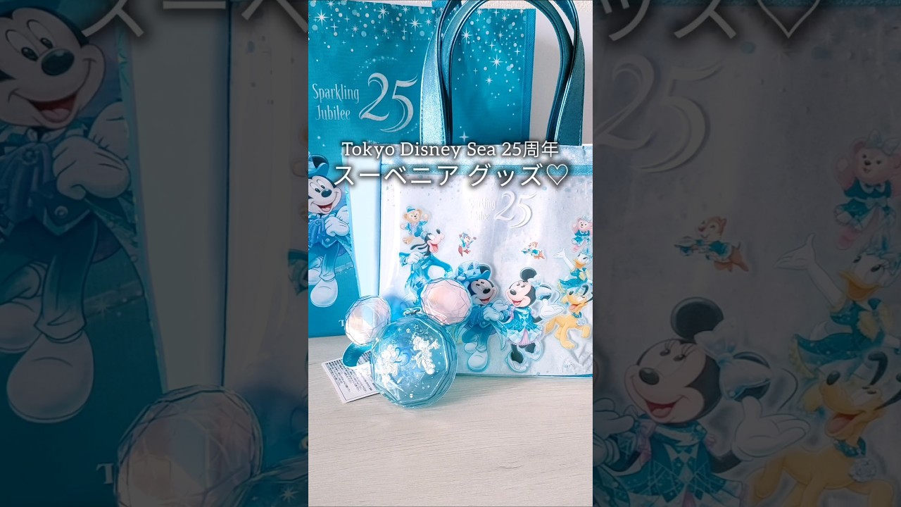 スーベニアグッズ♡ ディズニーシー25周年✨️ スーベニアランチケース 