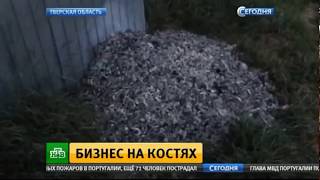 как заработать 10 000 долларов или бизнес на костях как заработать 10 000 долларов или бизнес на костях
