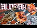 Bildircin tadiyoruz  bildircinin 3 hal  mangalda bldrcn nasl piirilir   grilled quail