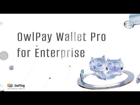 OwlPay Wallet Pro for Enterprise: Treasury and Payout Control