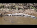 Boat ride on the Lower Ord River, East Kimberley