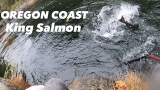 OREGON COASTAL RIVER  CHINOOK SALMON FISHING