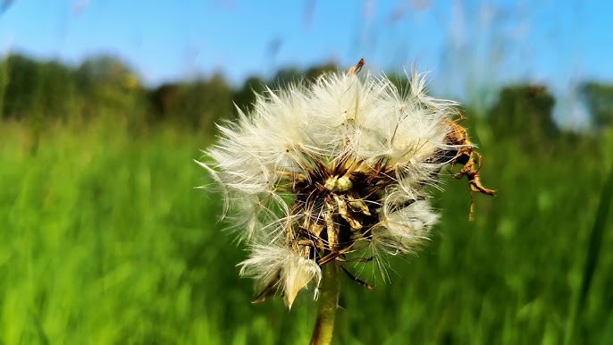 Un bol d'air, libre comme l'air, ne pas manquer d'air